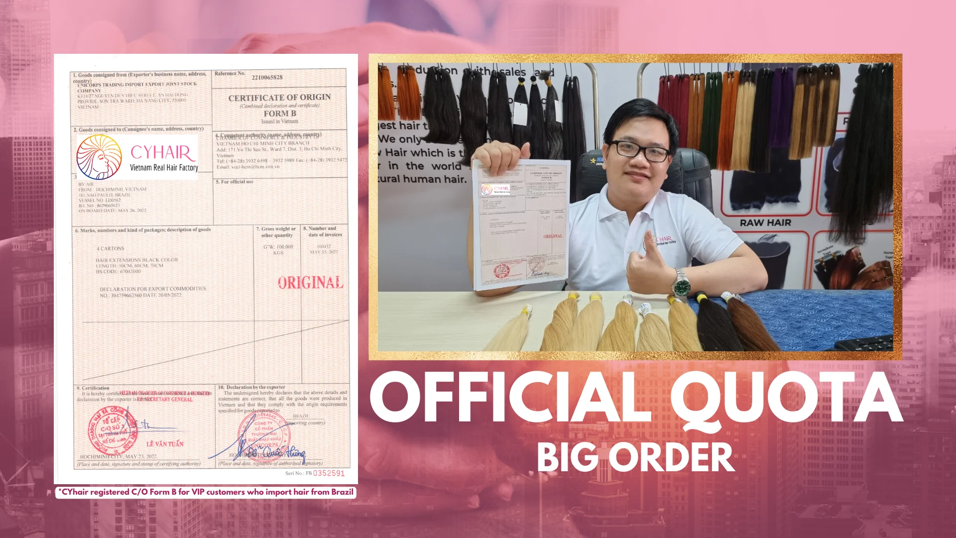 Raw Vietnamese Hair.png