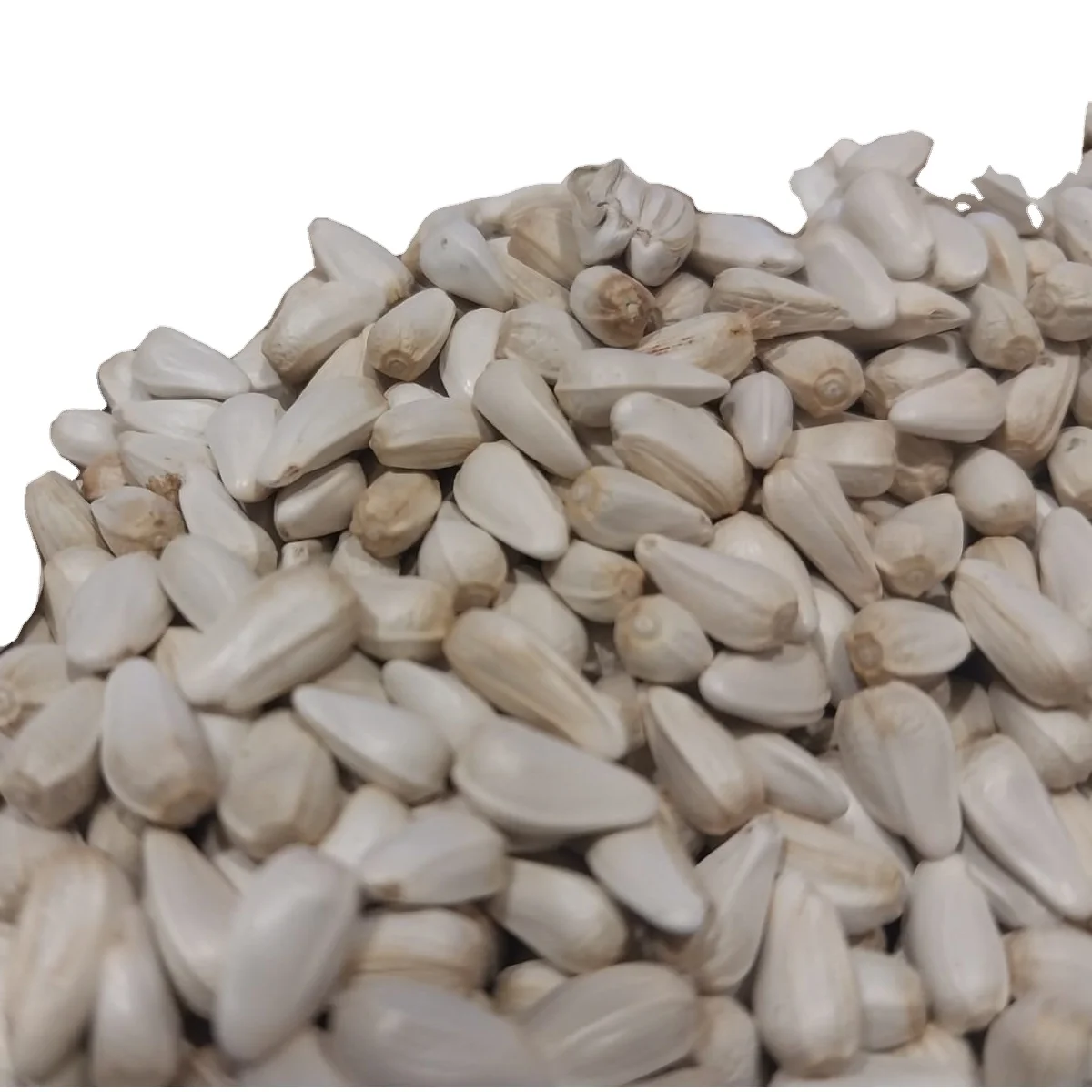 Wholesale Natural Direct sale sunflower seeds natural antioxidant rich in nutrients and high quality low price
