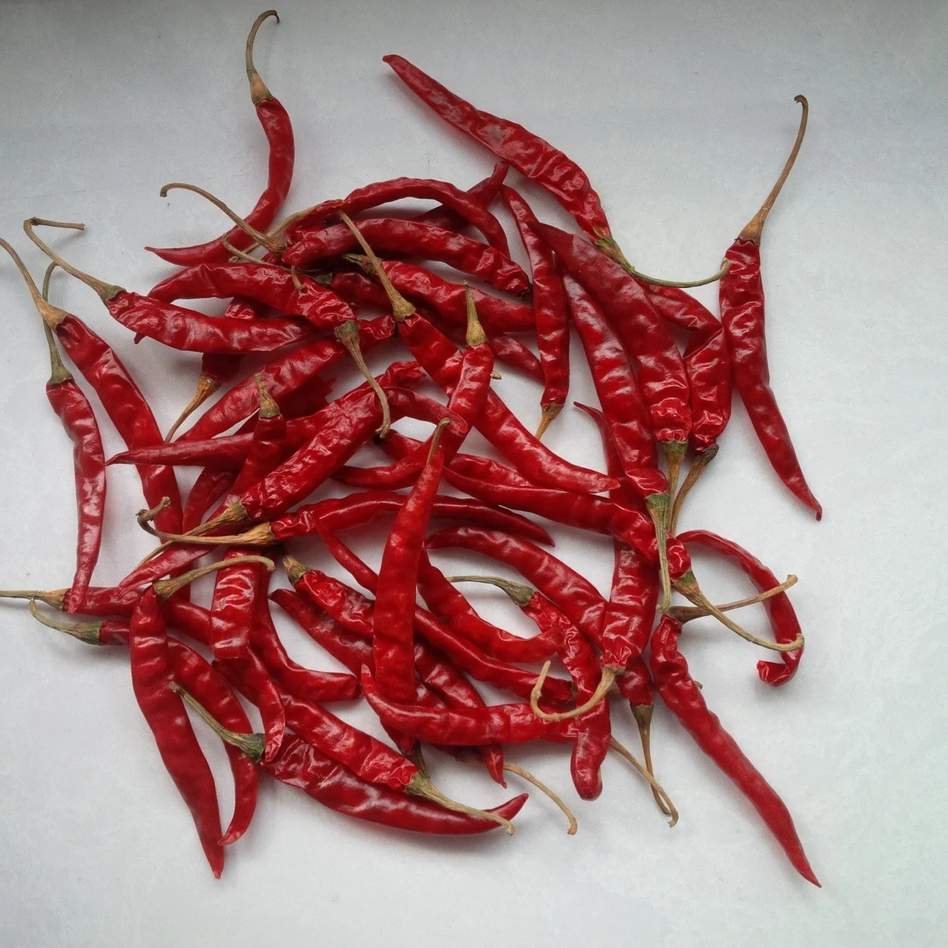 Wholesale red dried chili cayenne pepper chili pepper / Air Dried Red Chili Pepper