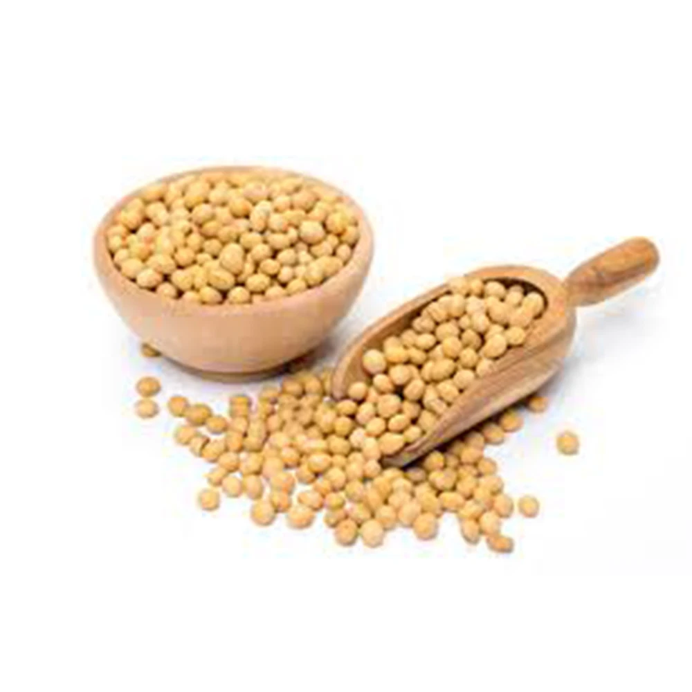 2023 Latest Stock Arrival High Quality Organic Non-GMO Soybeans Available for Sale in Cheap Price
