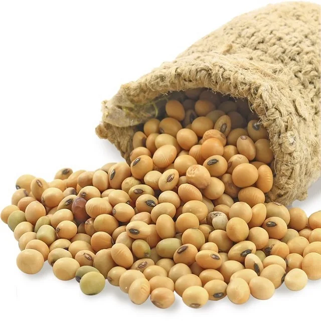 Original Soybeans/ Cheap Price Soya Beans Best Selling Soy Bean Seeds