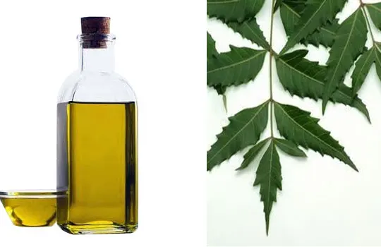 Neem Oil 3.jpg