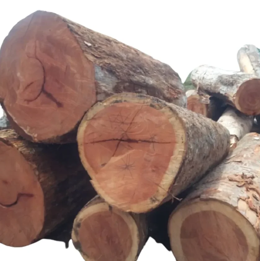 Top Quality Timber Logs Teak timber Wood Ipe Logs etc/ Oak Wood Logs / Teak Wood - Round Logs, Ipe Logs etc