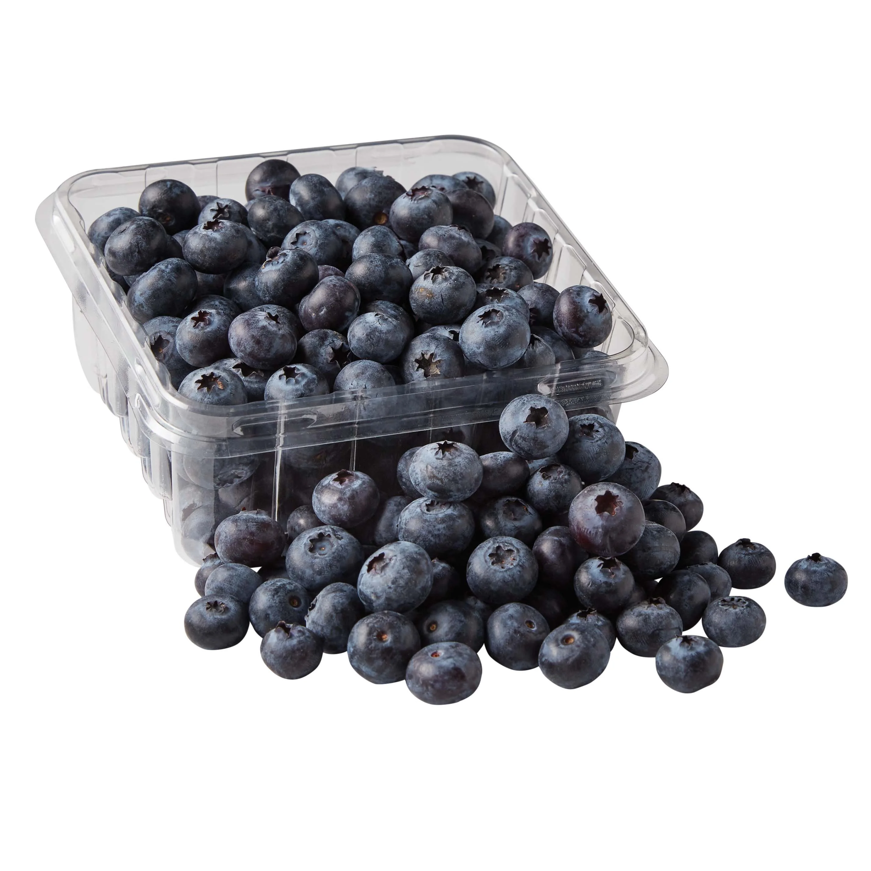 Best Price Organic Fresh Blueberries Fruit Available For Sale