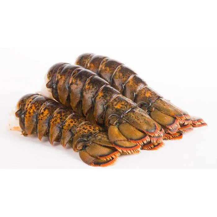 Frozen Rock Lobster / Frozen Lobster Tail / Fresh Live Lobster