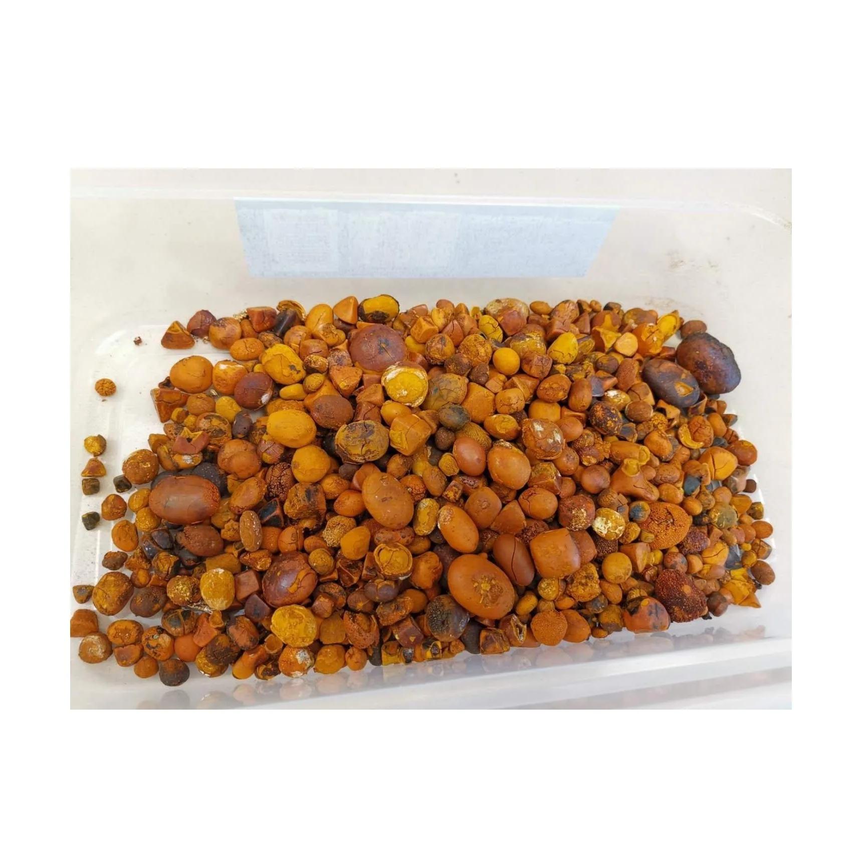 Highest Quality Best Price Direct Supply Cow Ox Gallstones | Cattle Gallstones| Cow Gallstones and Bezoar Bulk Fresh Stock
