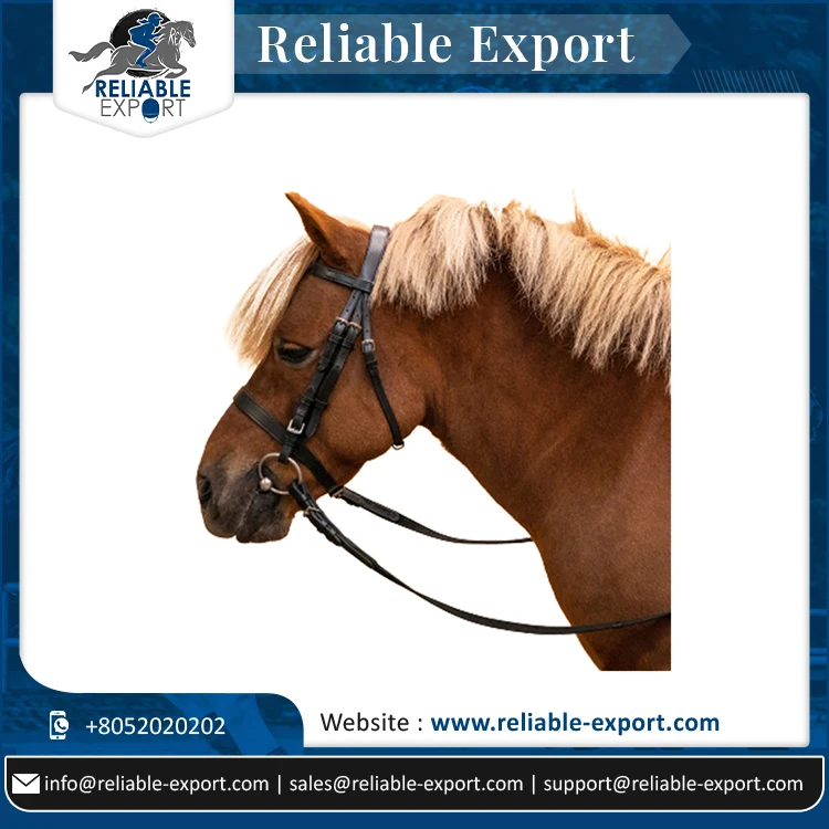 New Arrival Latest Design Horse Training Walking Reins At Best Quality From Indian Manufacture Also Bridle in Leather or PVC