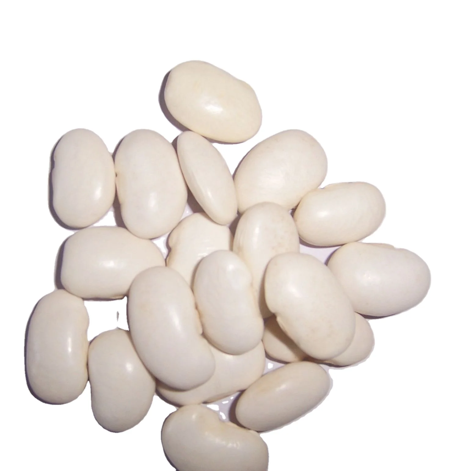 Best Quality Wholesale White Kidney Beans For Sale In Cheap Price Top Grade Wholesale white kidney Beans For Sale