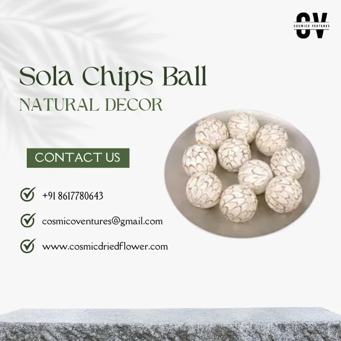 Popular Premium Quality Sola Chips Ball for Wedding Home Office Event & Dried Flower Arrangement