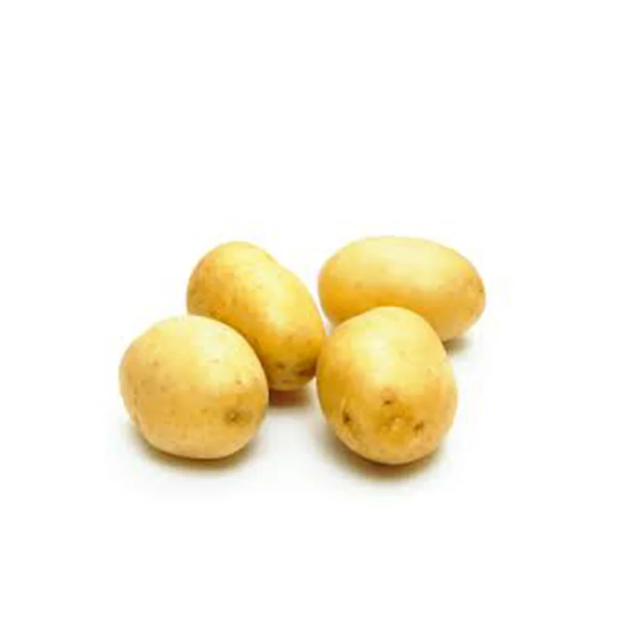 Buy Online Mozika Potato From Pakistan / Import Premium Quality Fresh Potatoes
