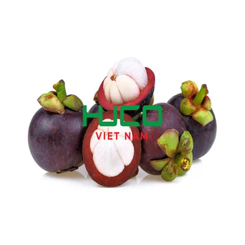 Tropical Fruit Fresh And Sweet Mangostreen No Preservative Special Taste Natural Premium Quality Steamed Fresh Mangosteen