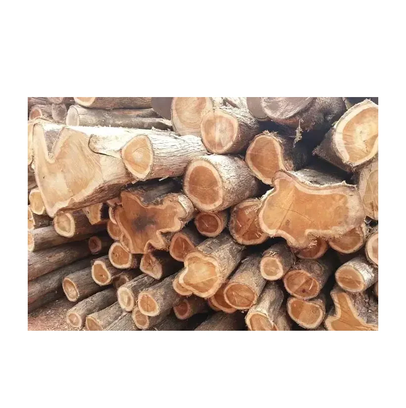 Бревна Meranti-свежая огранка и окорка для изготовления мебели