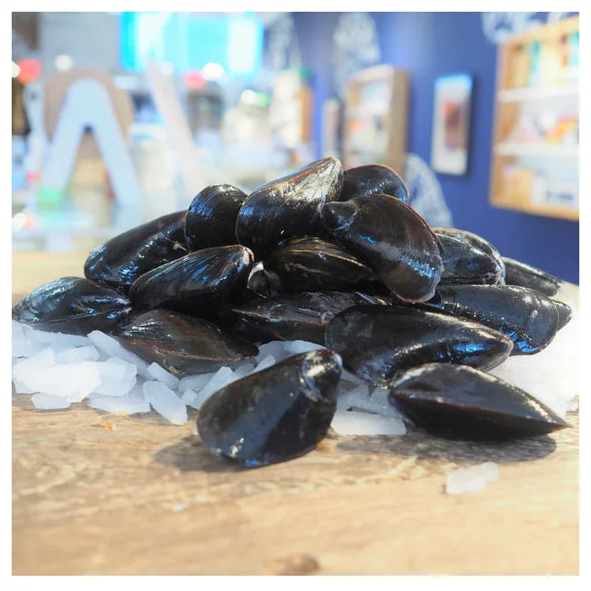 Seafood Importers Mussels In Shellfish Import Export Frozen Seafood High Quality Frozen Half Shell Mussel