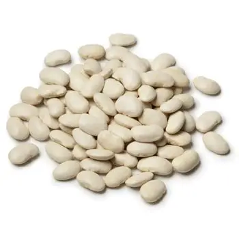Dried  Lima Beans