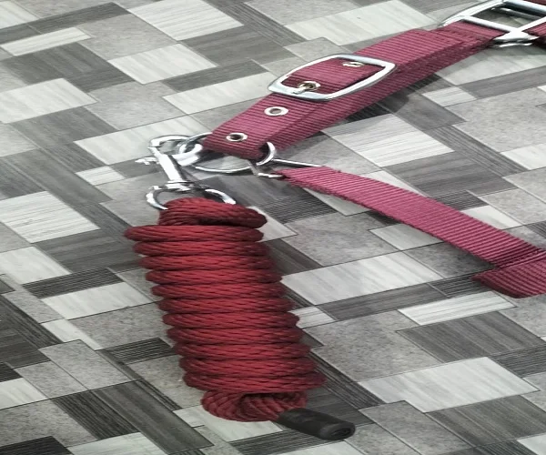 Equestrian Horse Halter Nylon Workout Available Matching Lead Ropes Solid Brass Snap Hook Head Adjustable Horse Halter Tack Shop