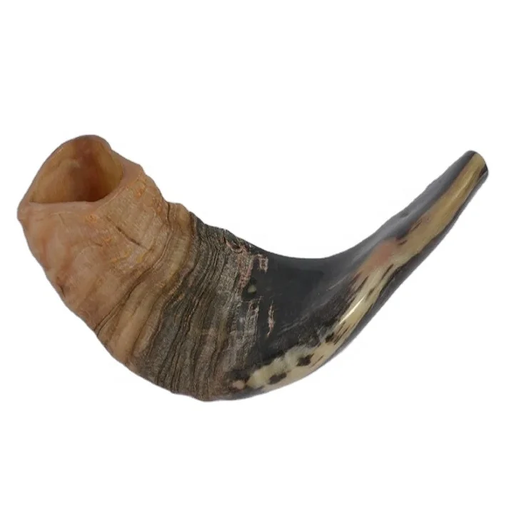 Shofar Ram Horn Kosher Jewish Blowing Horn Natural