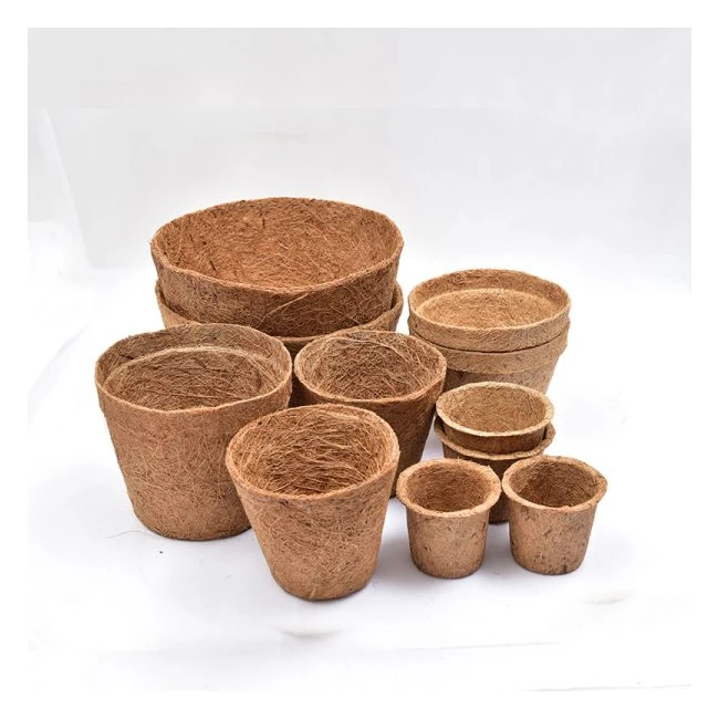 Высококачественные экономически низкая цена Шри-Ланка Hrdroponic биоразлагаемые контейнеры для растений кокосы