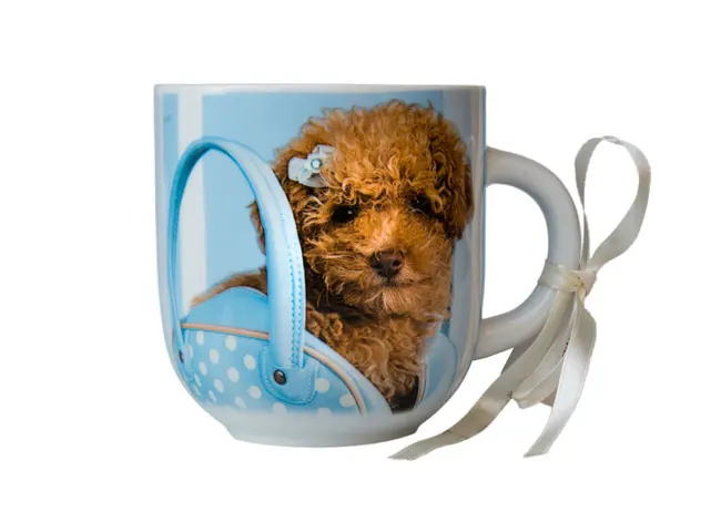 500g RED Ceramic Toner for Canon Xerox Ricoh for applications on Ceramics Porcelain Glass Funeral art and photoceramic