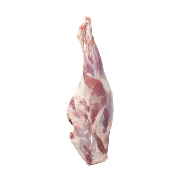 Top Grade HALAL FRESH FROZEN BEEF LEG BONE HIND BULK VACUUM PACKED EXPORT READY FOR SALE