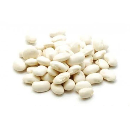 Highest Quality Natural Wholesale Top Grade White Kidney Beans For Exporting High Quality Large Big White Kidney Beans