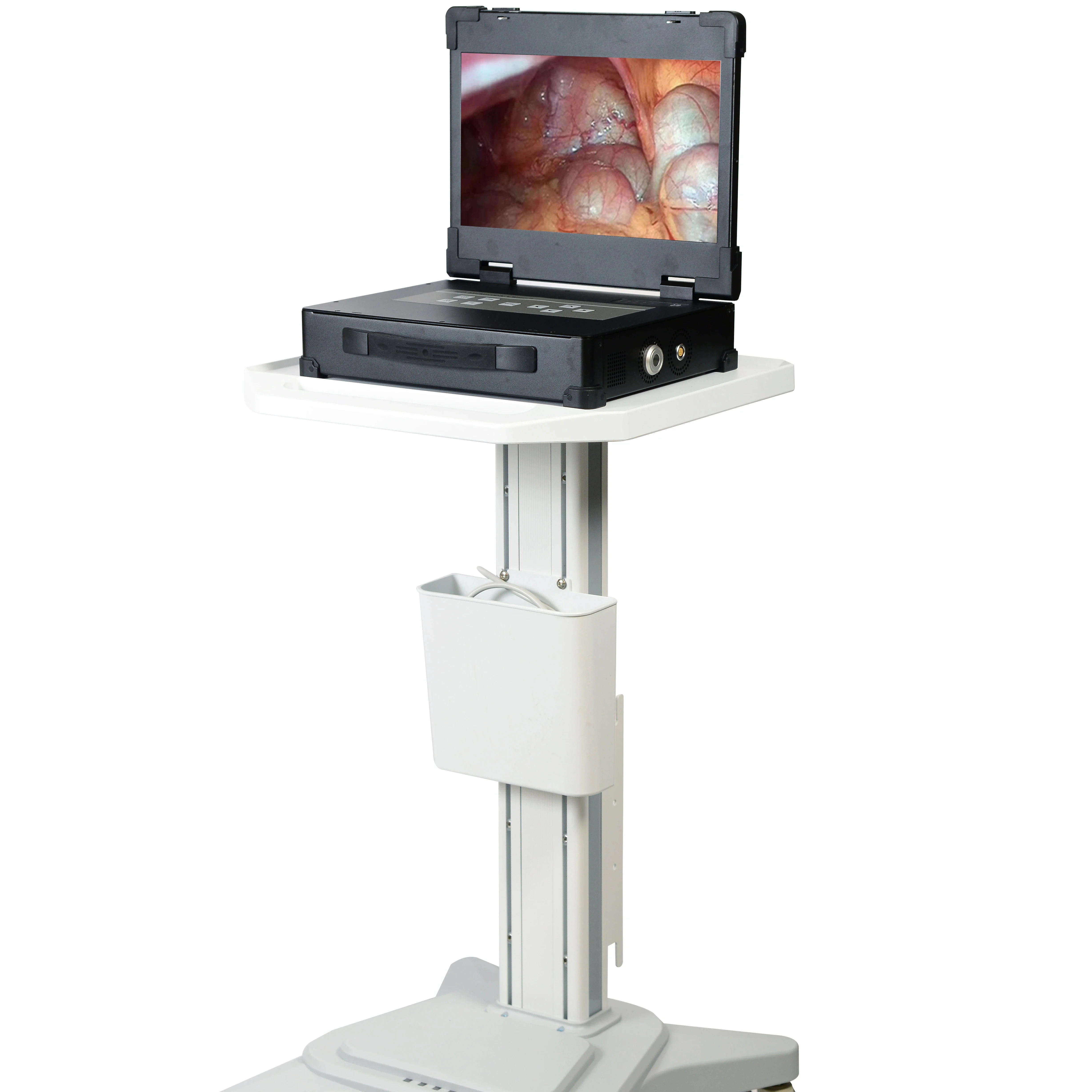 Surgical Instruments Basis Medical Endoscopy Camera System with Light SourceSIN-SED10