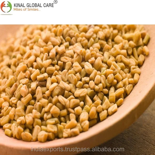 Quality Assured Organic & Natural Fenugreek Indian Grade Food Condiments Fenugreek Exporter From India