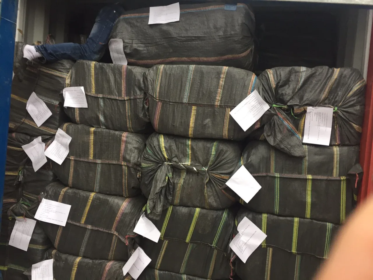 DRIED BLACK GRASS JELLY LEAF AND STICK VIETNAM EXPORTER WHOLESALER