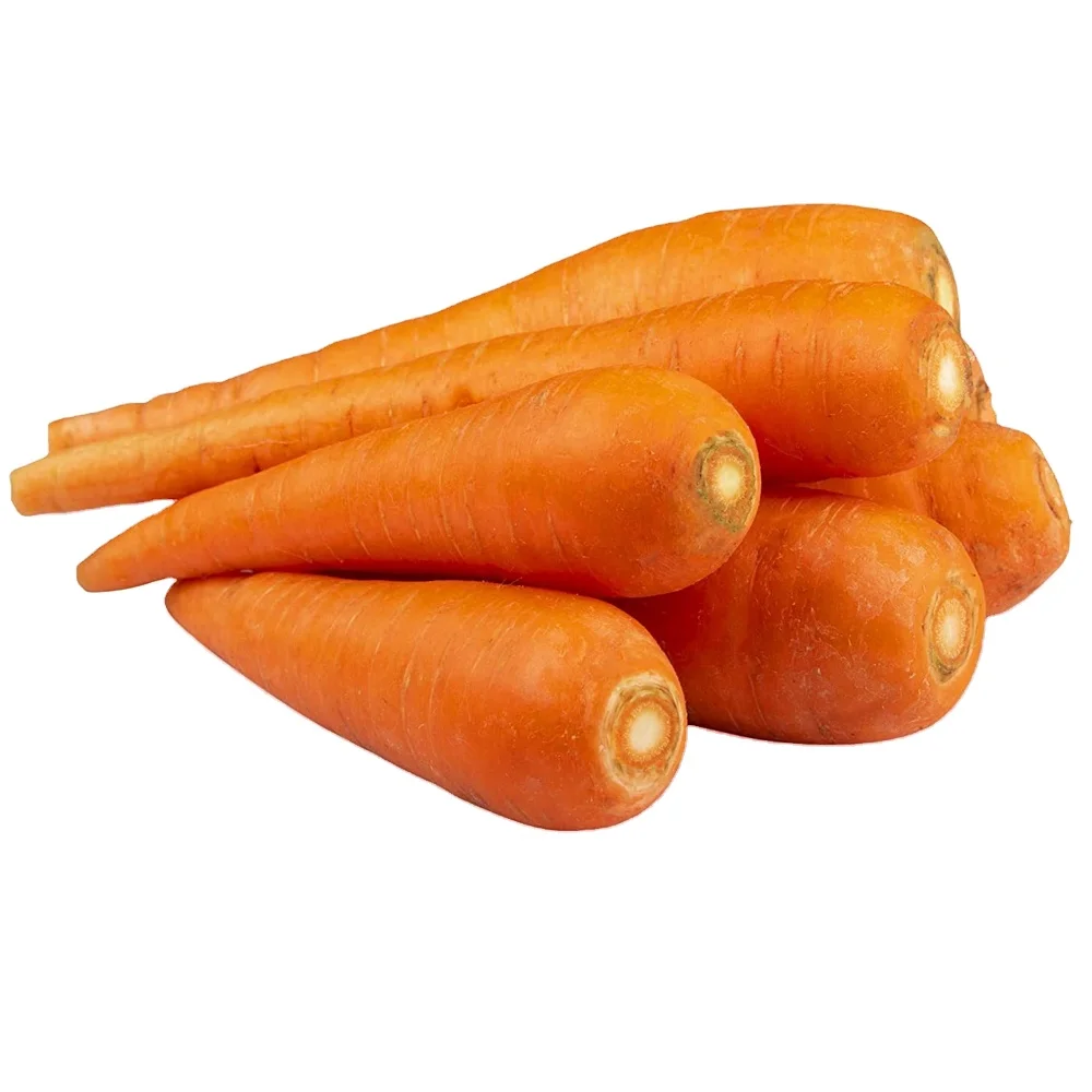 Fresh Natural Red Carrots Available for Export at Wholesale price
