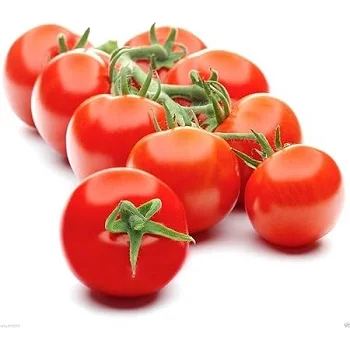 Available in bulk  Fresh Tomato with Natural red / Best quality for wholesale / Quick response and cheap price