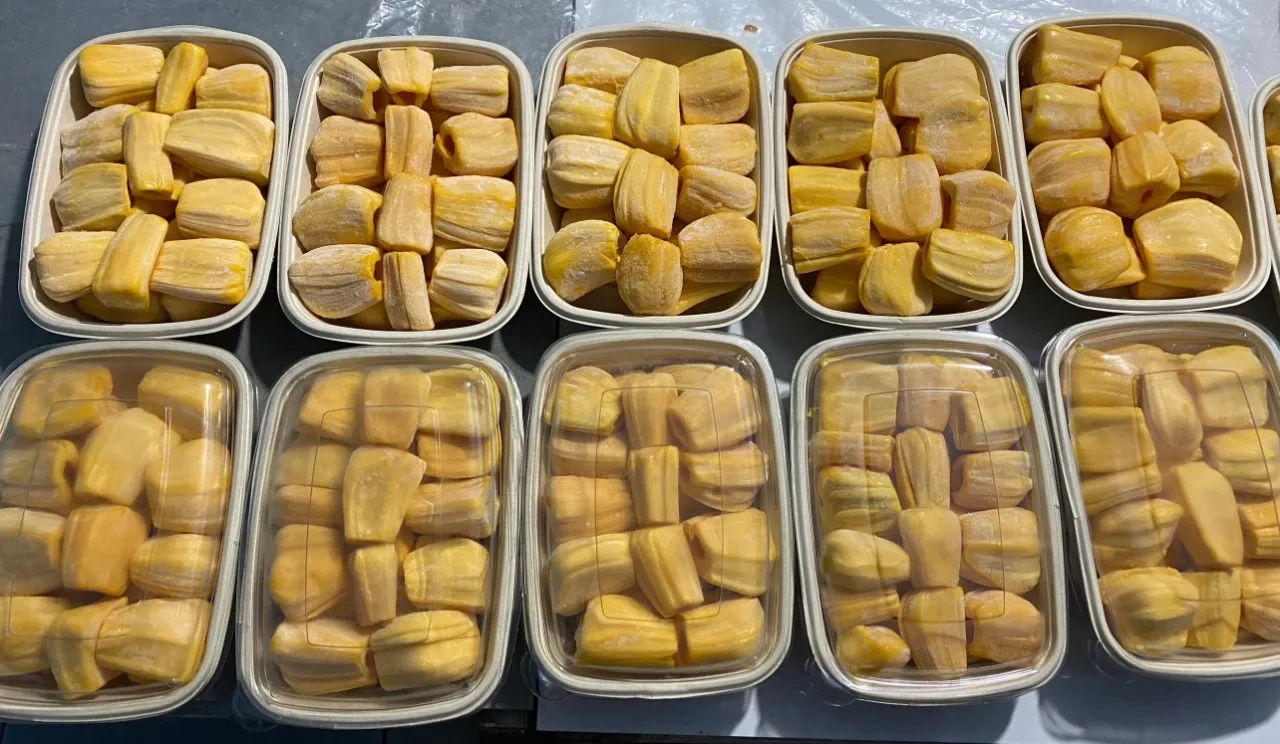 Vietnamese Supplier of Frozen Jackfruit Top Quality ISO, HACCP Certification Customization