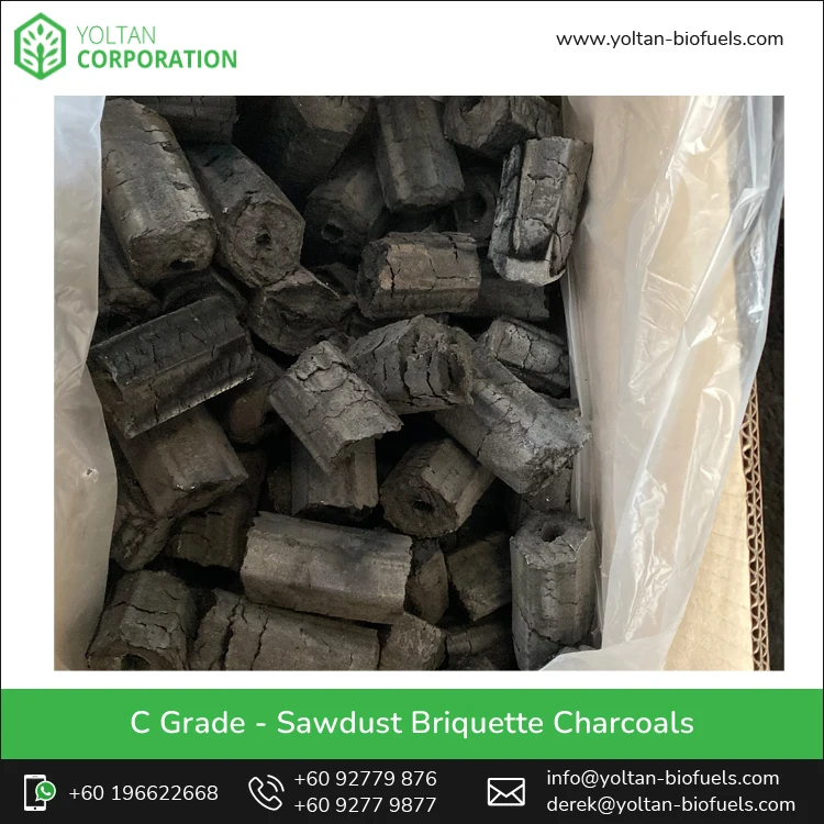 Reliable Market Price Bulk Selling C Grade Sawdust Briquette BBQ Charcoal from Trusted Malaysian Exporter