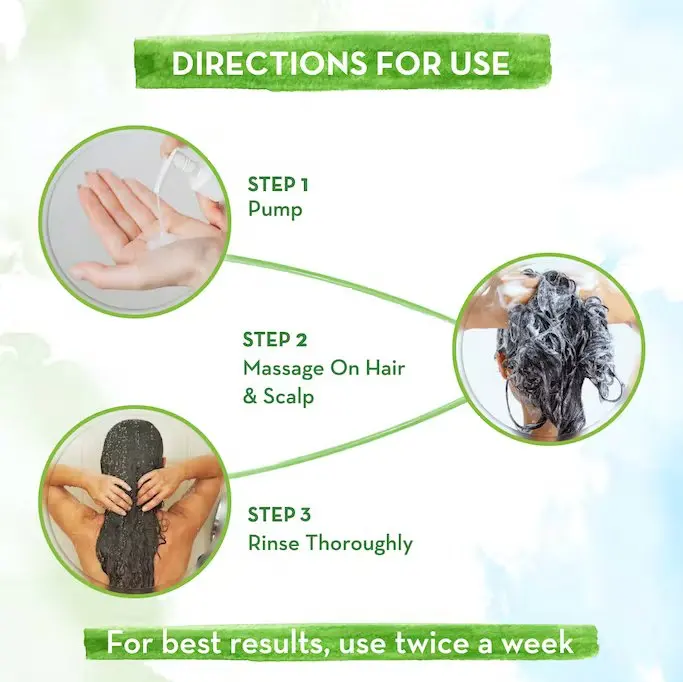 New Product Selling MAMA EARTH Tea Tree Shampoo For Dandruff Free Hair - 250ml Helps In Reducing Itch & Irritation