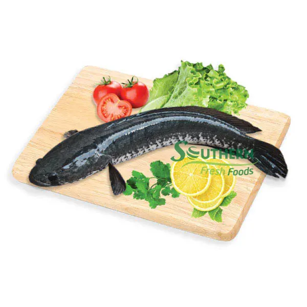 Контейнер для хранения ингредиентов форма 2 года жизни поставщик морской пищи замороженная цельная грязевая рыба WR ферма приподнятая SFF из Вьетнама