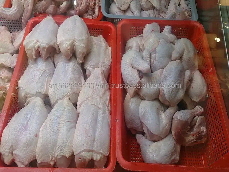 frozen chicken21.jpg