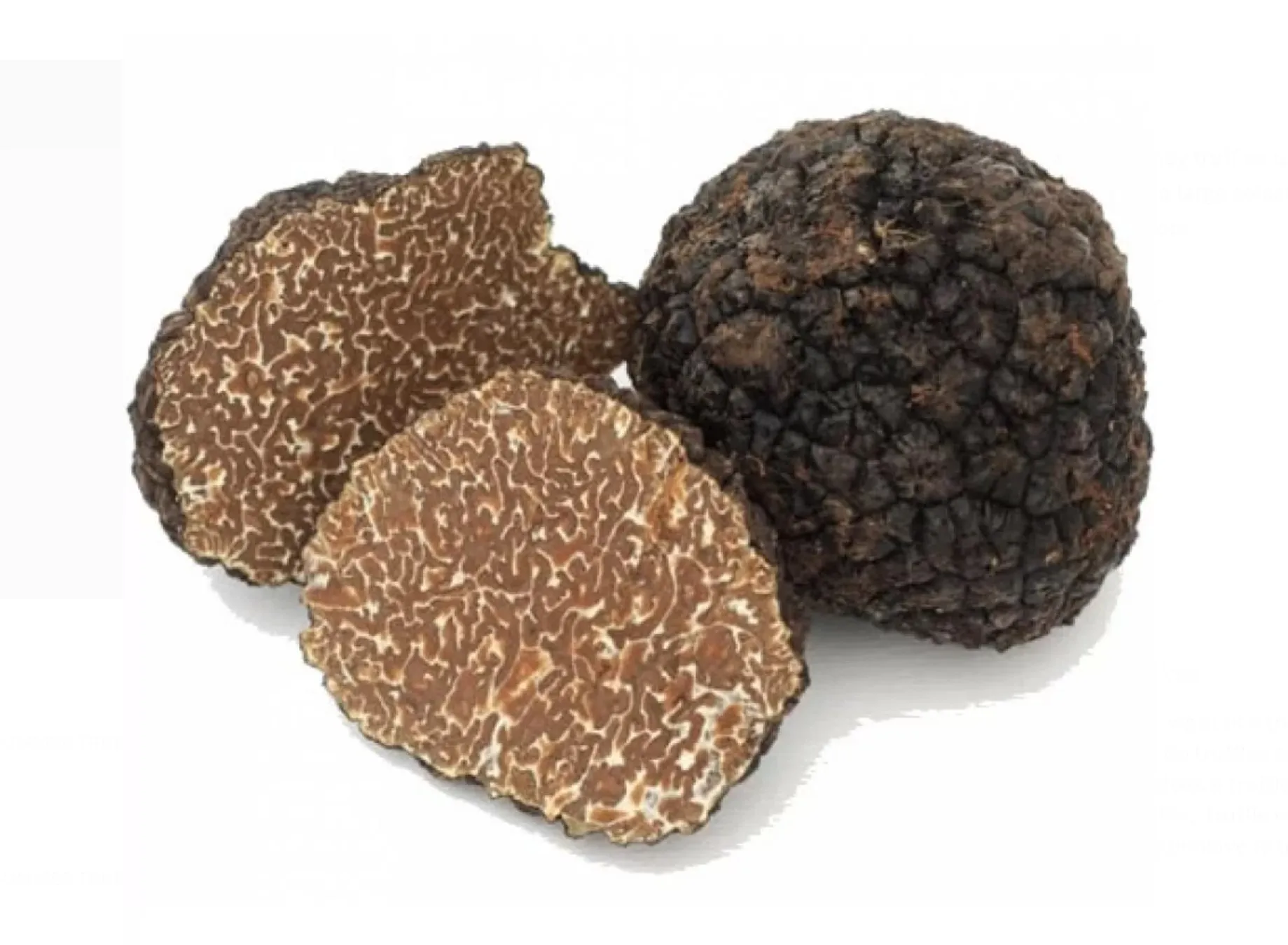 FRESH BLACK WINTER TRUFFLES UNCINATUM - FIRST GRADE