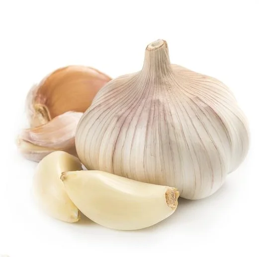 2023 Garlic Fresh Garlic White Pure White Garlic Wholesale Price 0.03 Kg 5.5 Cm COMMON Cultivation