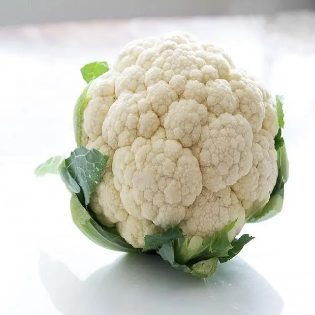 Factory direct supply cheap price cauliflower China export fresh cauliflower wholesale