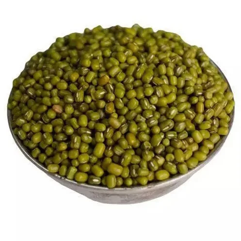 Best choice and best discounts Green Bean Machine Cleaned Premium Grade Green Mung Beans Exporter