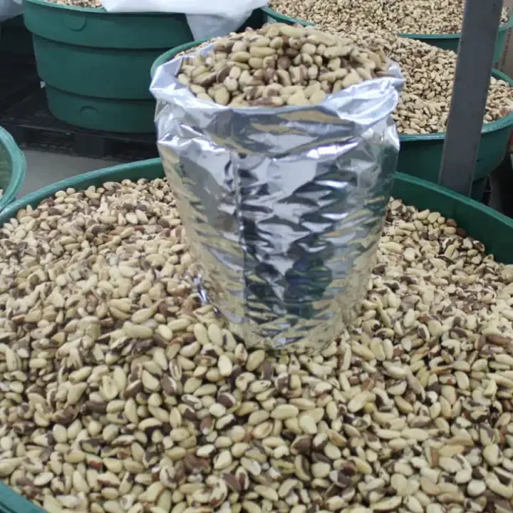 brazil nuts2 - Copy.png