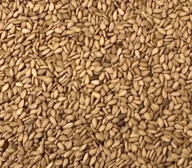 YELLOW SESAME SEED