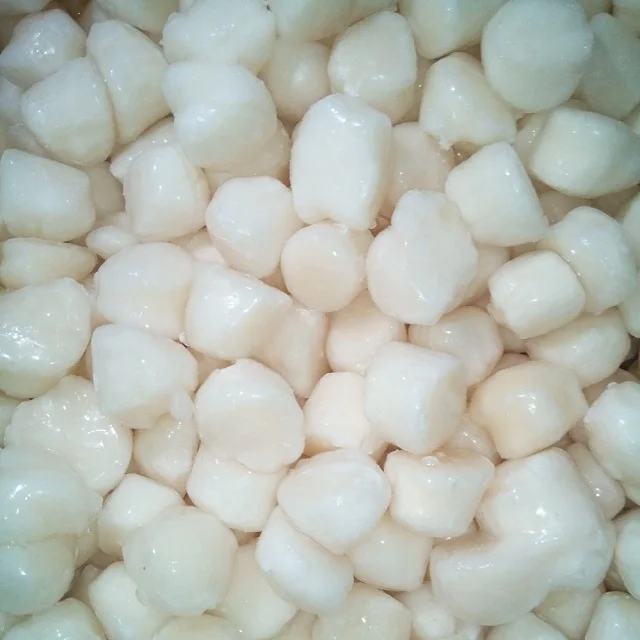 Wholesale Delicious Seafood Frozen Sea Scallop With Half Shell