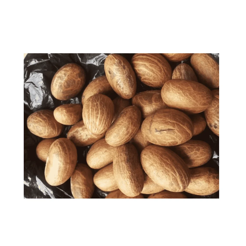 Finest Natural African Bitter Kola For Wholesale/cheap price