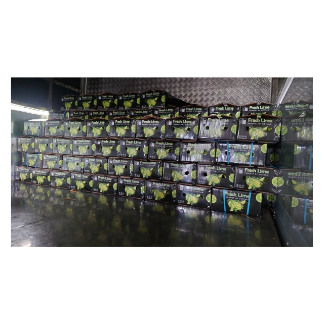 Product fresh lime premium quality new crop from Viet Nam to US market