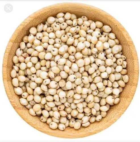 Organic Sorghum  Indian Sorghum/ White and Red Sorghum High Quality For Sale NOw