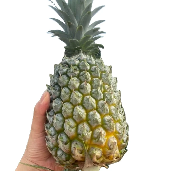 Fresh Green Pineapple - Natural Ananas With The Best Quality Best Price For Wholesale From Viet Nam