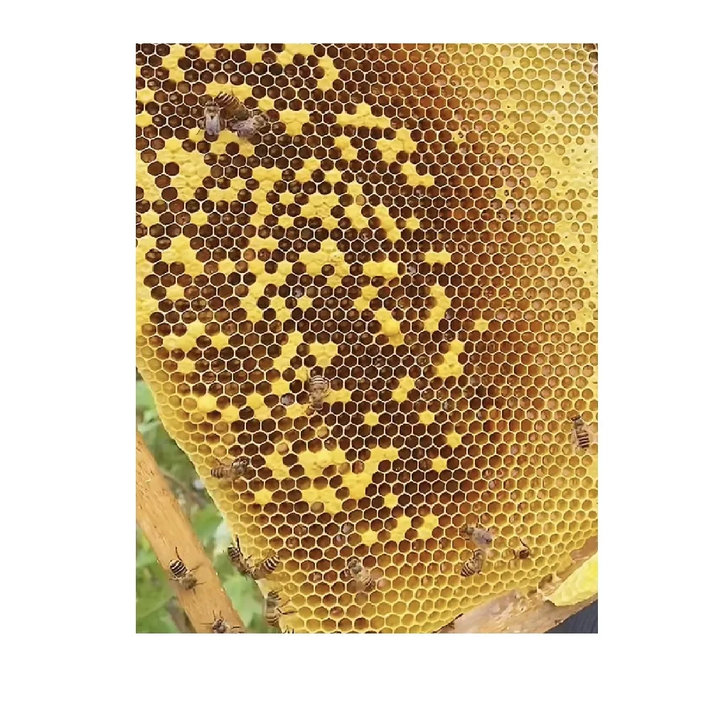 Shelf Type Honey Use Skincare Place Vip Dry Packaging HMF1kg pure honey price Forest Honey From Vietnam