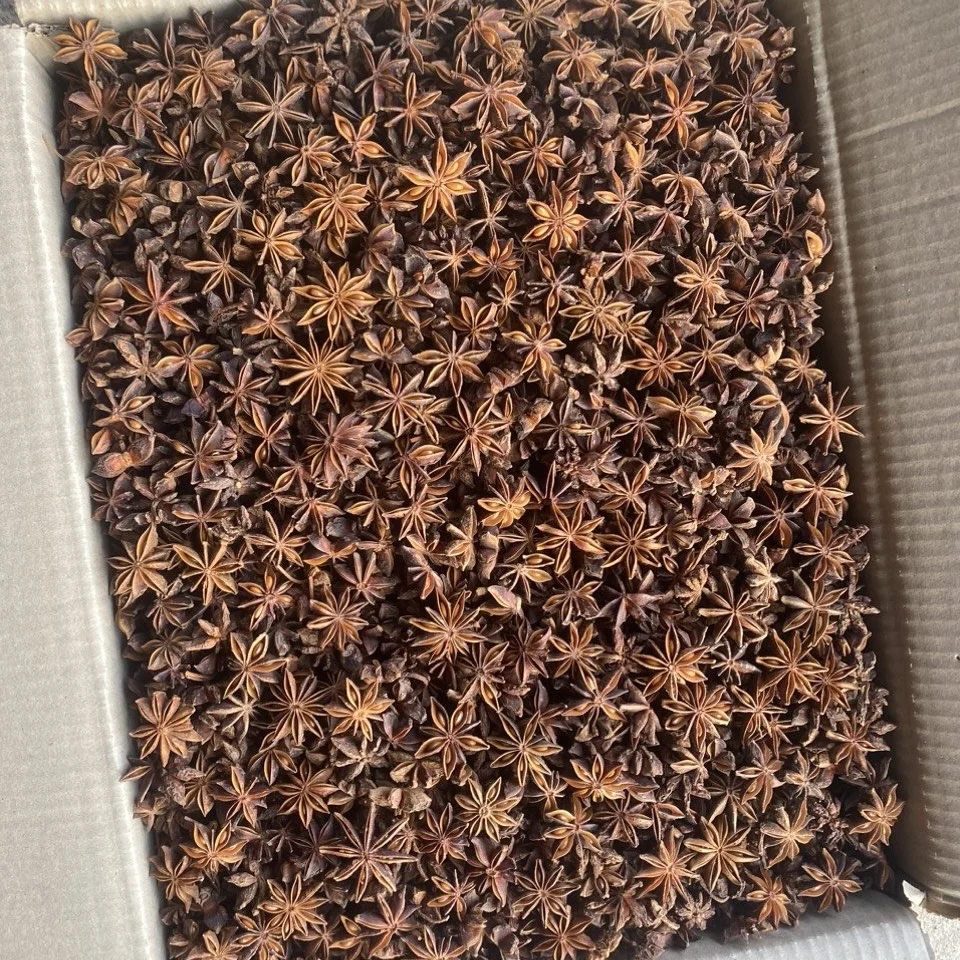 Vietnamese Dried Star Anise Whole Ground Broken Star Anise Single Spices & Herbs Anise Seed