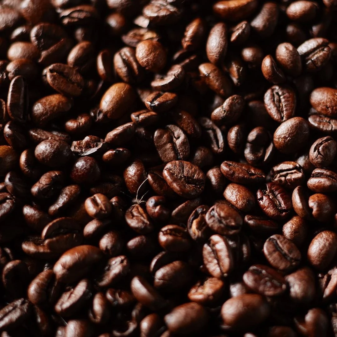 Wholesale raw Arabica Coffee beans for sale from Africa Best selling Arabica Coffee beans at good prices Buy Arabica Coffee