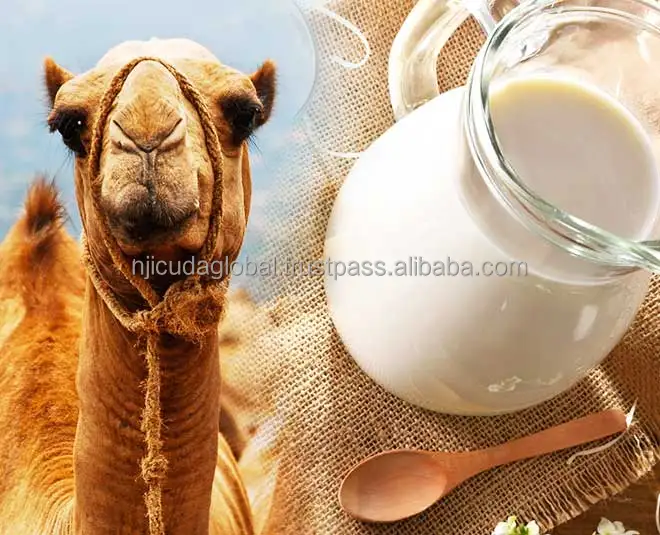 camel-milk.jpg