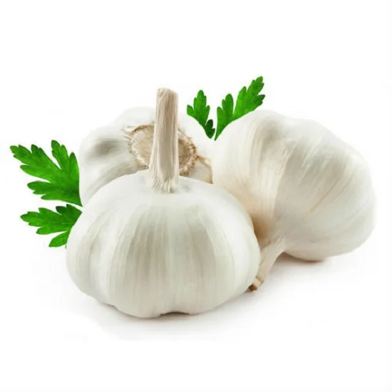 Premium Quality Fresh Garlic Pure White Best Market Price for Food Use
